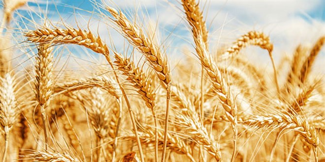 Gıda fiyatları daha da artabilir