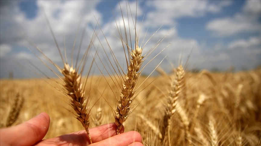 Dünyadaki kıtlığa Bursalı akademisyenden öneri… Dünyadaki kıtlığa Bursalı akademisyenden öneri…