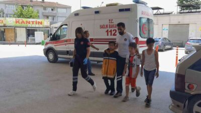 Yer: Bursa… 3 çocuk hastanelik oldu