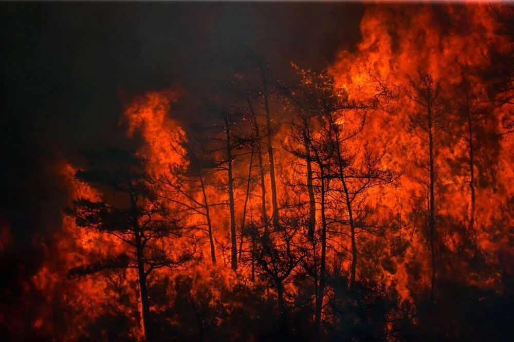 Marmaris’te orman yangını: Müdahale devam ediyor