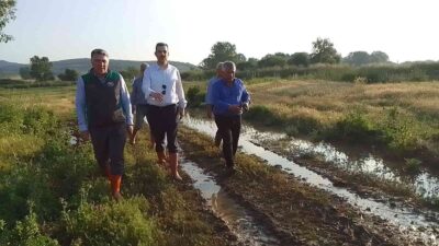 Bursa’da tarım arazileri su altında kalmıştı! Milletvekili Esgin’den sel incelemesi
