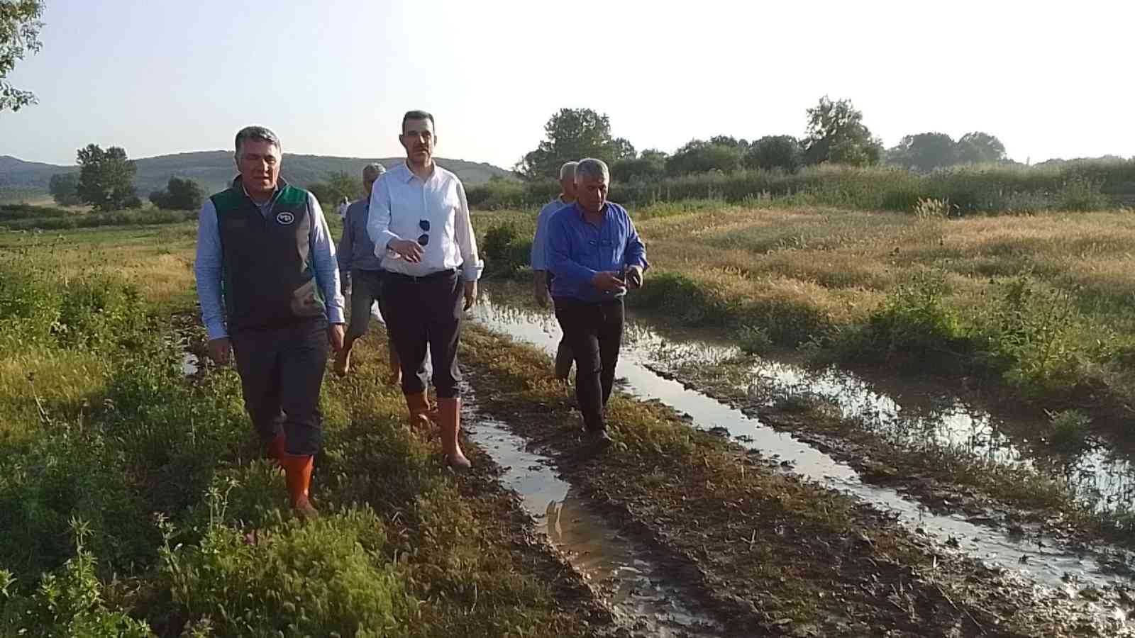 Bursa’da tarım arazileri su altında kalmıştı! Milletvekili Esgin’den sel incelemesi
