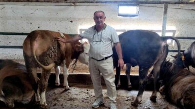 Bursa’da özel yemlerle besliyor, 1 yıl önceden sıraya girenler var