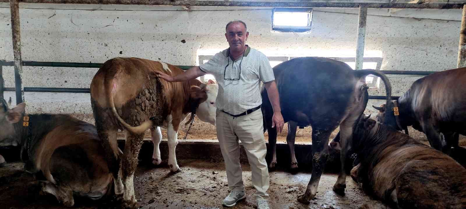 Bursa’da özel yemlerle besliyor, 1 yıl önceden sıraya girenler var