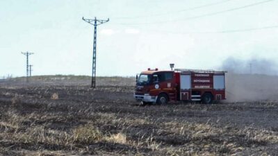 Bir izmarit tüm ekini yaktı