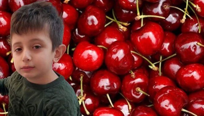 Soluk borusuna kaçan kiraz öldürdü Soluk borusuna kaçan kiraz öldürdü