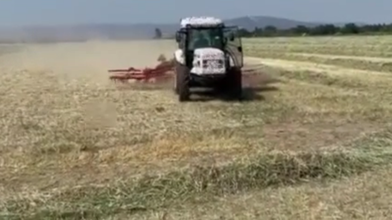 Bursa'nın Karacabey ilçesinde bugünlerde dikkat çeken bir gelişme yaşanıyor... Detayları