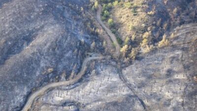 Bu görüntüye yürek dayanmaz! Yangının verdiği zarar gözler önüne serildi