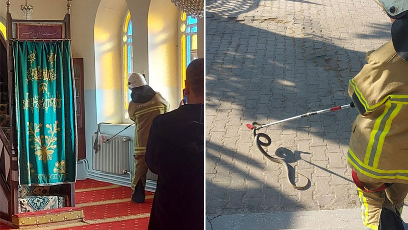 Bursa’da camide yılan paniği Bursa’da camide yılan paniği