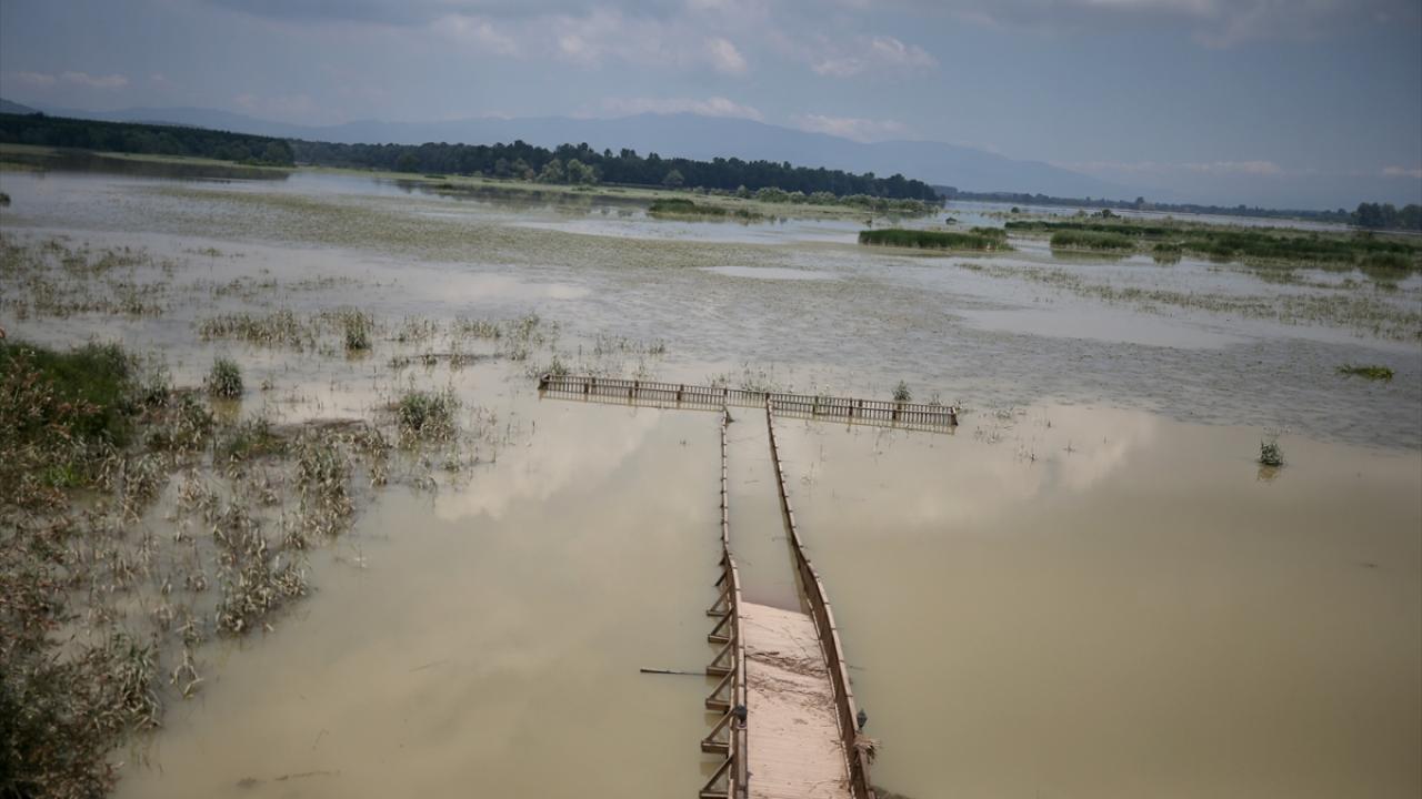 Düzce’de yağmur suları 1 haftadır çekilmedi