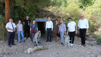 İnegöl’de sokak canlıları için doğal yaşam alanları oluşturuldu