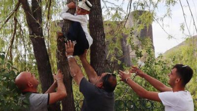 Sünnet olmaktan korkan çocuk, ağaca tırmandı