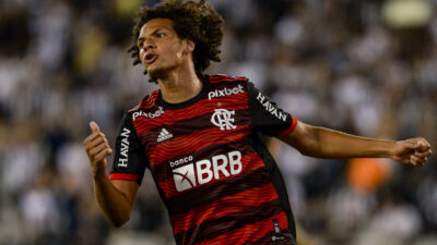 Willian Arao, Fenerbahçe’de