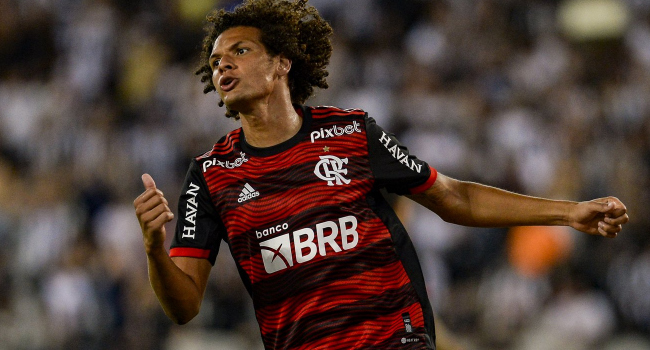 Willian Arao, Fenerbahçe’de