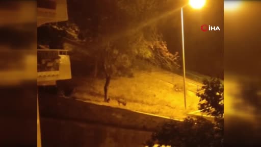 Görüntüler Bursa’dan… İlçe merkezine indiler