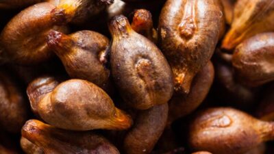 Ciğerleri tamamen temizliyor, gözler ve beyin için çok faydalı!