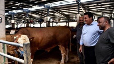 Osmangazi’de modern ve hijyenik kurban pazarları