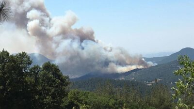 Balıkesir’deki orman yangını kontrol altına alındı