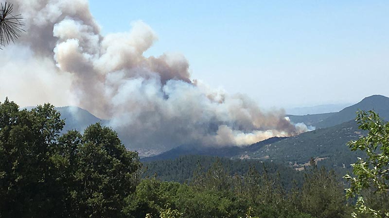 Balıkesir’deki orman yangını kontrol altına alındı