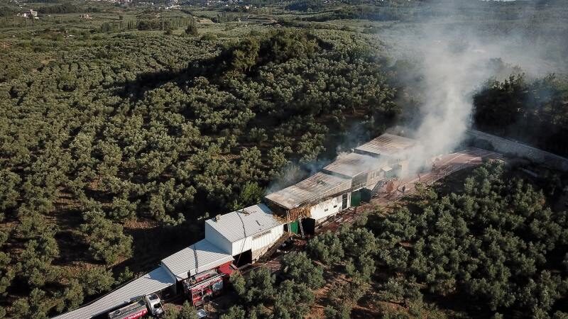 Bursa'nın Mudanya ilçesinde bir çiftlikte çıkan yangında çok sayıda tavuk