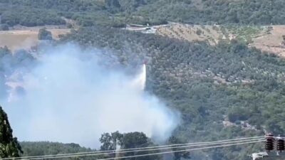 Bursa’da zeytinlik yangını! Kontrol altına alındı