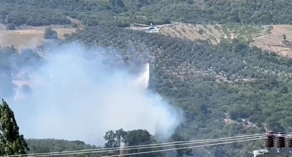 Bursa’da zeytinlik yangını! Kontrol altına alındı