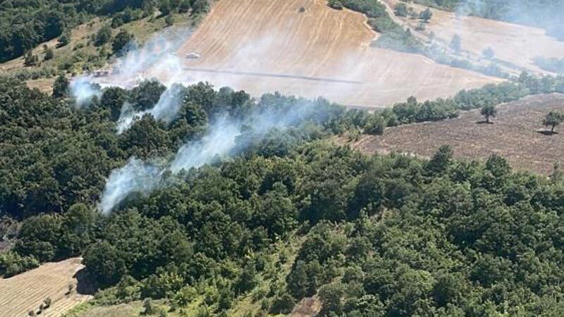 Bursa’nın Mustafakemalpaşa ilçesinde orman yangını çıktı. Ekiplerin zamanında müdehalesi neticesi