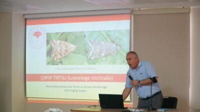 Mustafakemalpaşa’da dronlar çayır tırtılları için yükselecek