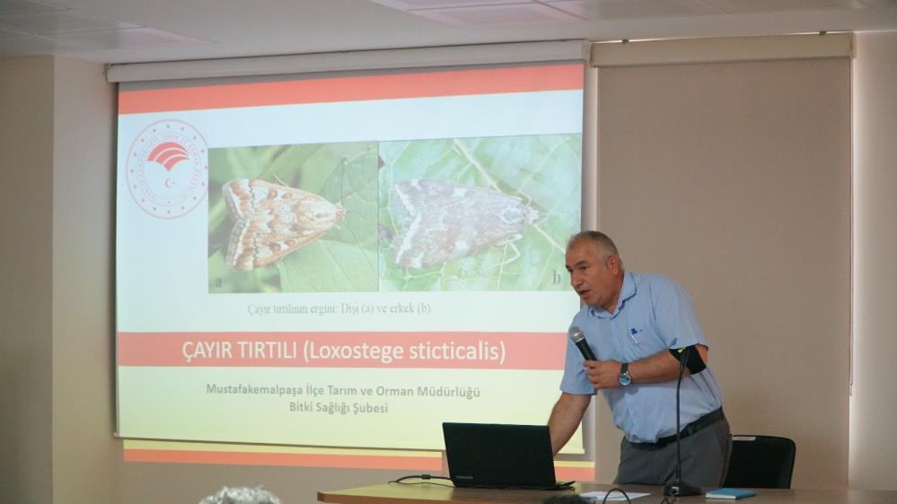 Mustafakemalpaşa’da dronlar çayır tırtılları için yükselecek
