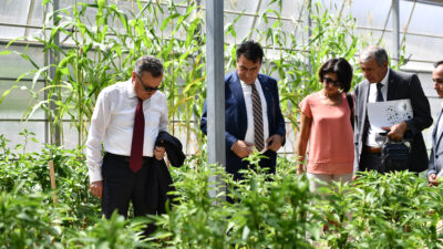 Ata mirası Osmangazi’de yeşeriyor