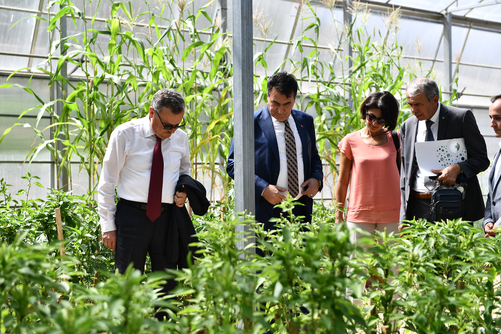 Ata mirası Osmangazi’de yeşeriyor