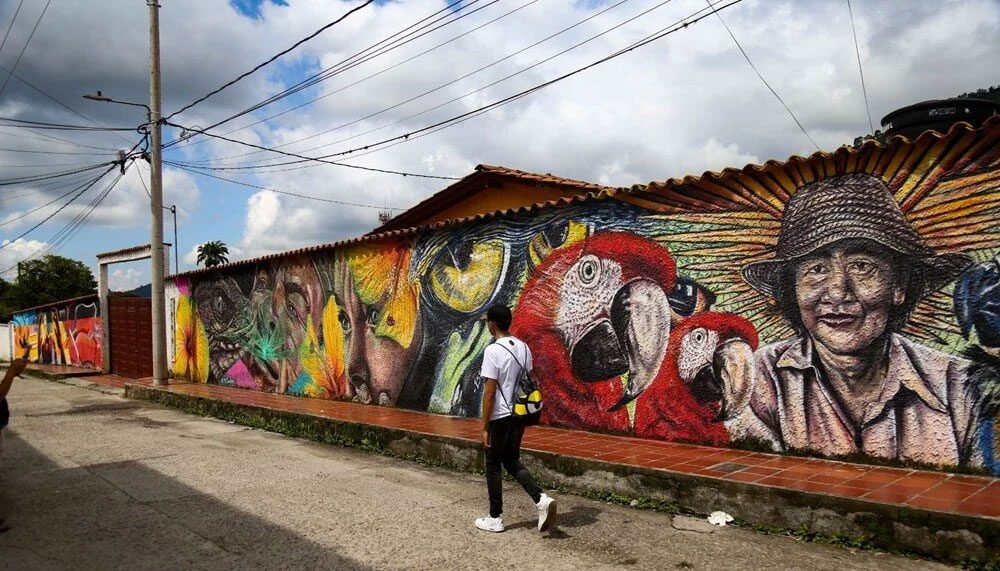 Kolombiya’nın duvar resimleriyle ünlü şehri: Chinacota