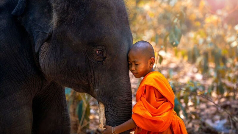 En çok seyahat eden insanlar bile bazen, gittikleri yerde kendilerinden