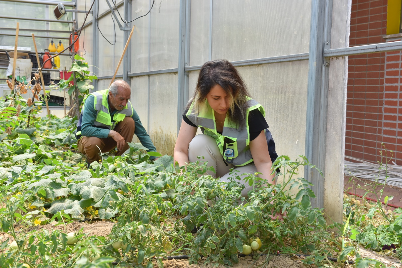 Yıldırım’da hasat zamanı