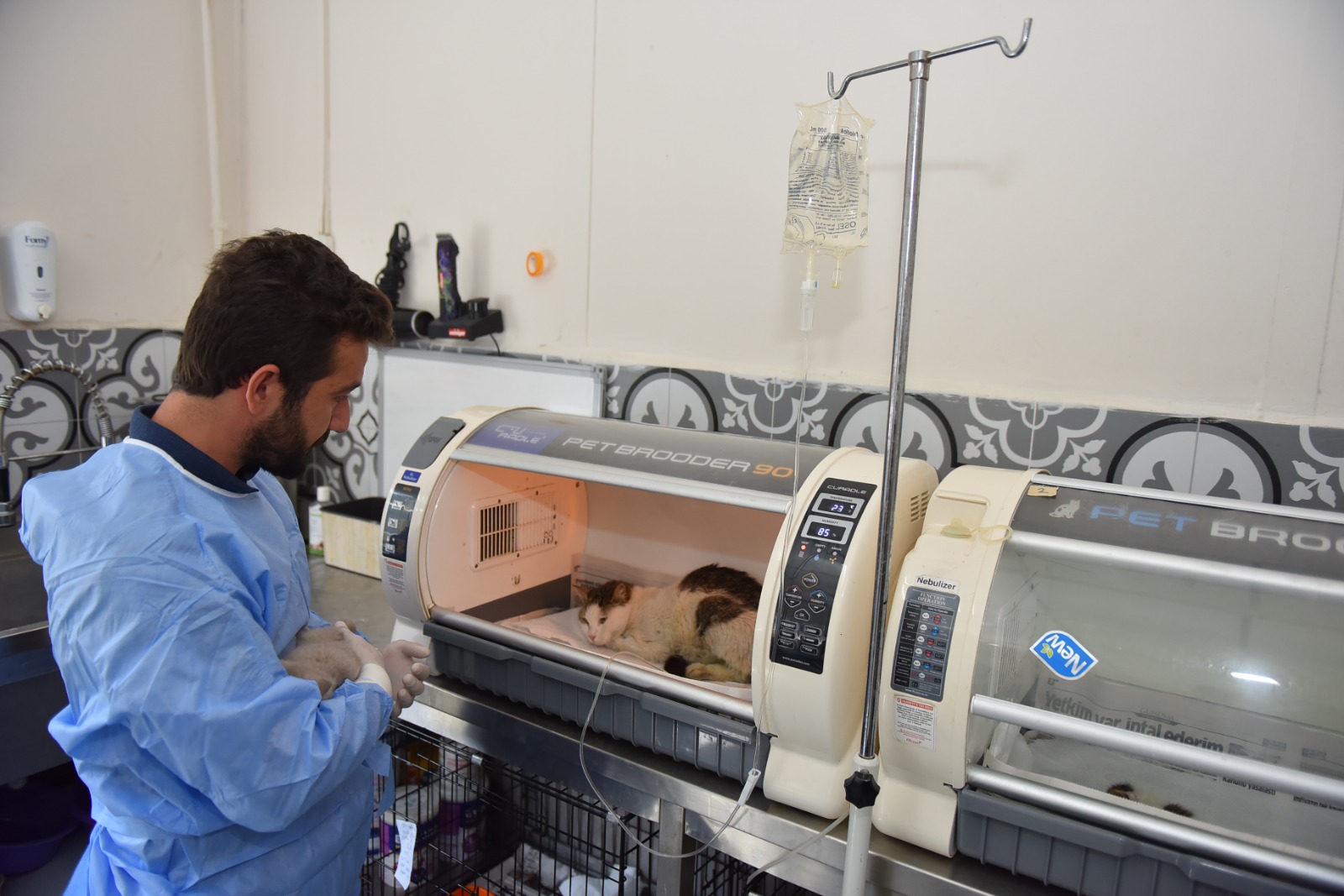 Yıldırım’da sokak hayvanları emin ellerde