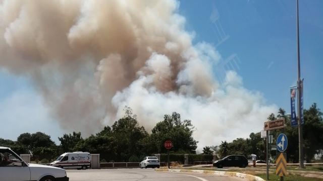 Antalya’da iki orman yangını