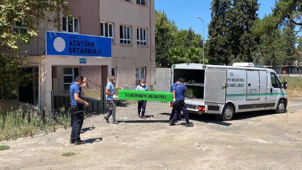 Korkunç olay! Koku ele verdi…