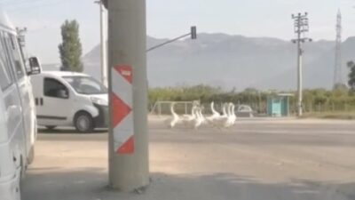 Bursa’da trafik durdu