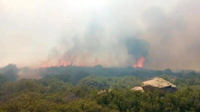 Çanakkale’de orman yangını