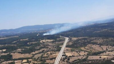 Kaza yapan araç orman yangınına neden oldu