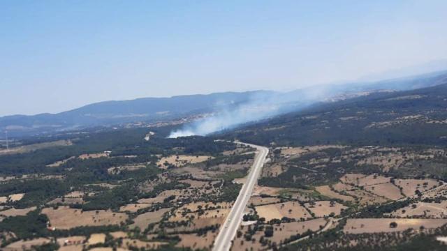 Kaza yapan araç orman yangınına neden oldu