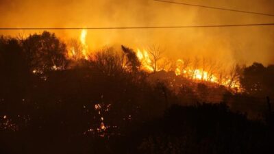 Çeşme’de otluk alanda yangın