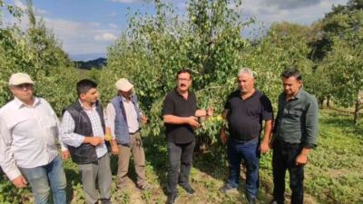 Bursa’da 20 milyon TL’lik zarar