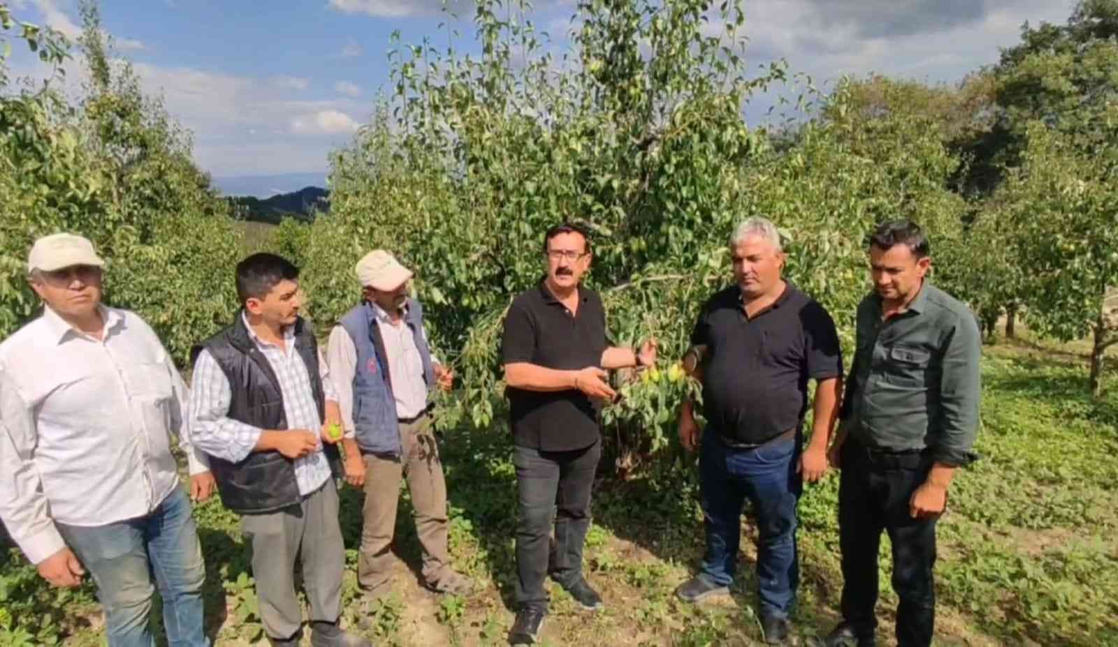 Bursa’da 20 milyon TL’lik zarar