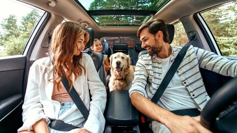 Uzun yol seyahatleri eğer doğru bir şekilde planlanırsa çok eğlenceli