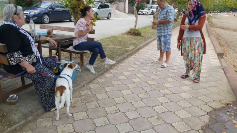 Bursa’da genç kız köpeğin saldırısına uğradı Bursa’nın İznik ilçesinde ailesiyle birlikte gezen genç kız, parktaki bir