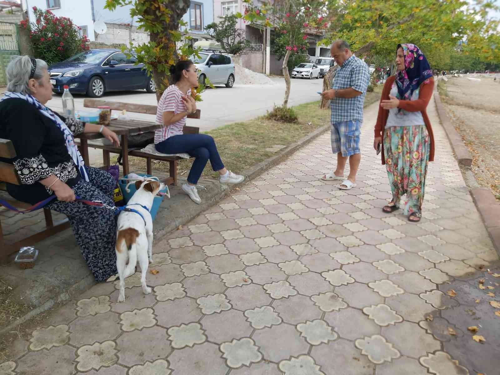 Bursa’da genç kız köpeğin saldırısına uğradı Bursa’da genç kız köpeğin saldırısına uğradı