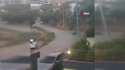 Görüntüler Bursa’dan! İlçe merkezine indiler