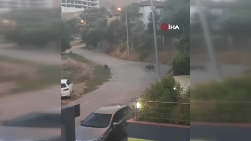 Görüntüler Bursa’dan! İlçe merkezine indiler