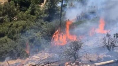 İzmir’de iki ayrı noktada orman yangını